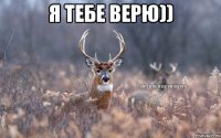 я тебе верю)) 