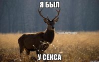 Я был у секса