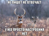 Не пишет не отвечает У нее просто настроения нет