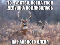 то чувство, когда твоя девушка подписалась на наивного оленя