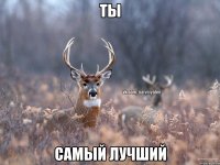 Ты самый лучший