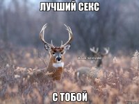 Лучший секс с тобой