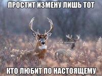 простит измену лишь тот кто любит по настоящему