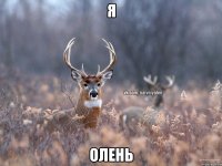 Я олень