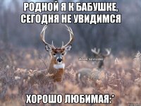 Родной я к бабушке, сегодня не увидимся Хорошо любимая:*