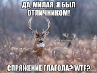 Да, милая, я был отличником! Спряжение глагола? WTF?