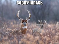 соскучилась 