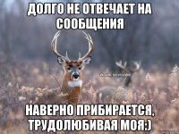 Долго не отвечает на сообщения Наверно прибирается, трудолюбивая моя:)