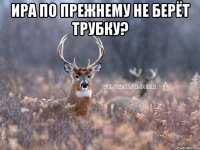 ИРА ПО ПРЕЖНЕМУ НЕ БЕРЁТ ТРУБКУ? 