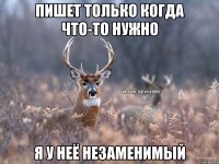 ПИШЕТ ТОЛЬКО КОГДА ЧТО-ТО НУЖНО Я У НЕЁ НЕЗАМЕНИМЫЙ