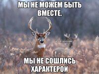 Мы не можем быть вместе. Мы не сошлись характерои