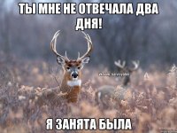 Ты мне не отвечала два дня! Я занята была