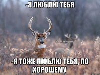 -я люблю тебя -я тоже люблю тебя, по хорошему