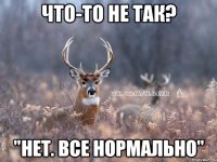 Что-то не так? "Нет. все нормально"