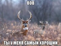 вов ты у меня самый хороший