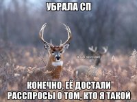 убрала сп конечно, её достали расспросы о том, кто я такой