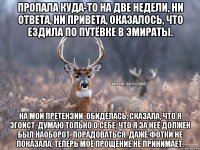 Пропала куда-то на две недели, ни ответа, ни привета, оказалось, что ездила по путёвке в Эмираты. На мои претензии, обиделась, сказала, что я эгоист, думаю только о себе, что я за неё должен был наоборот, порадоваться. Даже фотки не показала. Теперь моё прощение не принимает.