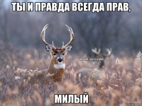 Ты и правда всегда прав, Милый