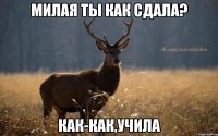 милая ты как сдала? Как-как,учила