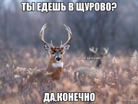 Ты едешь в Щурово? Да,конечно