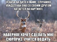 Уехала на дачу к маме. Случайно увидел как она со своим другом катается на картинге. Наверное хочет сделать мне сюрприз. Учится водить.