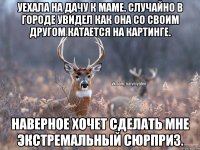 Уехала на дачу к маме. Случайно в городе увидел как она со своим другом катается на картинге. Наверное хочет сделать мне экстремальный сюрприз.