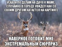 Уехала по делам на дачу к маме. Случайно в городе увидел как со своим другом катается на картинге Наверное готовит мне экстремальный сюрприз