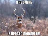 Я не олень Я просто люблю ее!