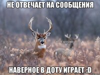 Не отвечает на сообщения Наверное в доту играет :D