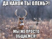 ДА КАКОЙ ТЫ ОЛЕНЬ?! МЫ ЖЕ ПРОСТО ОБЩАЕМСЯ!