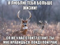 Я Люблю тебя больше жизни! СП же у нас стоит? Стоит. Ты мне нравишься. Пойду поиграю