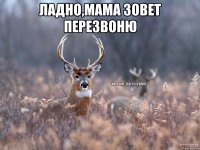 Ладно,мама зовет перезвоню 