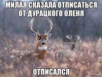 Милая сказала отписаться от дурацкого оленя Отписался