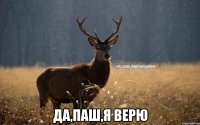  Да,Паш,я верю