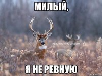 Милый, Я не ревную