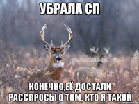 убрала сп конечно,её достали расспросы о том, кто я такой