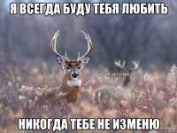 Я ВСЕГДА БУДУ ТЕБЯ ЛЮБИТЬ НИКОГДА ТЕБЕ НЕ ИЗМЕНЮ