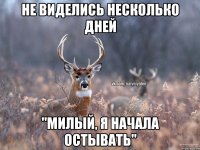 не виделись несколько дней "милый, я начала остывать"