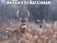 милый я по магазинам 