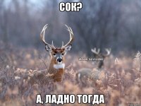 Сок? А, ладно тогда