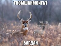 ТИОМШАНМОИГЬТ багдан