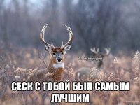  Сеск с тобой был самым лучшим