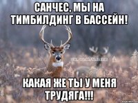 Санчес, мы на тимбилдинг в бассейн! Какая же ты у меня трудяга!!!