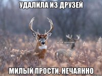 Удалила из друзей Милый прости, нечаянно