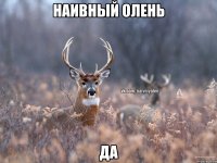 наивный олень да