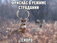 Фрискас В режиме страданий Скоро....