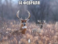 14 февраля я