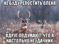 не буду репостить оленя вдруг подумают, что я настолько неудачник