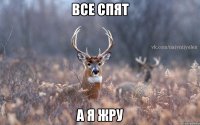 ВСЕ СПЯТ А Я ЖРУ