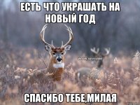 Есть что украшать на новый год Спасибо тебе,милая